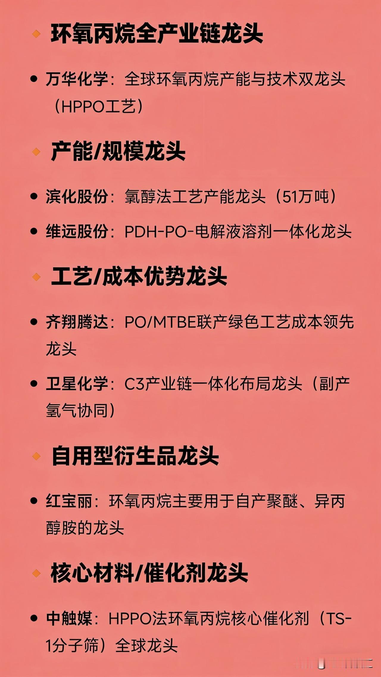 🔸 环氧丙烷全产业链龙头

万华化学：全球环氧丙烷产能与技术双龙头（HPPO工
