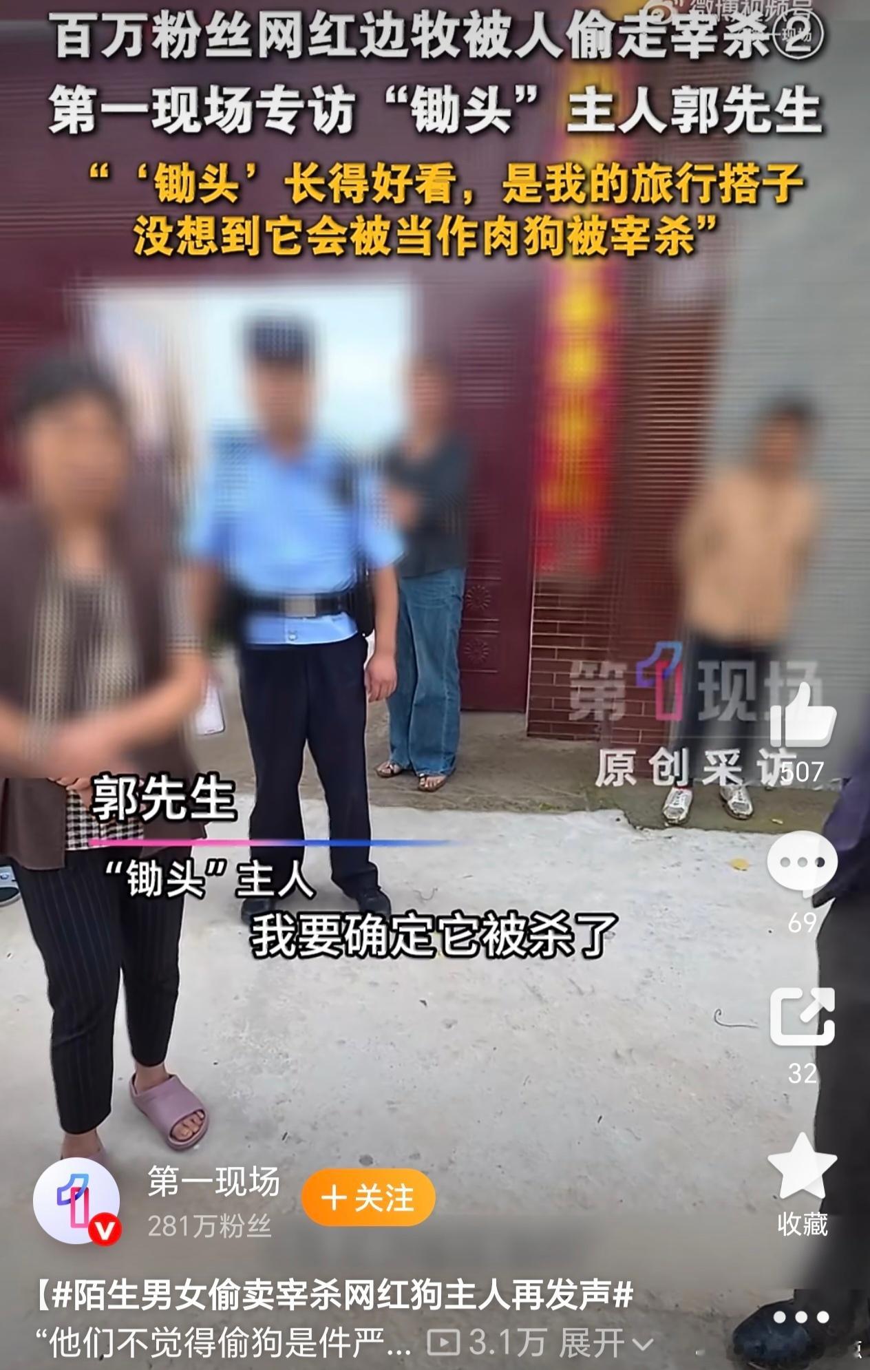 河南人偷狗有什么问题吗？网红边牧被180元偷卖宰杀后续