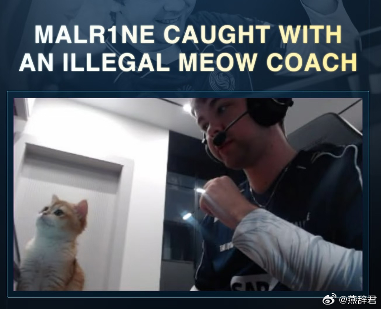 .马林打比赛时候，猫猫误入镜头，好可爱dota2 ​​​