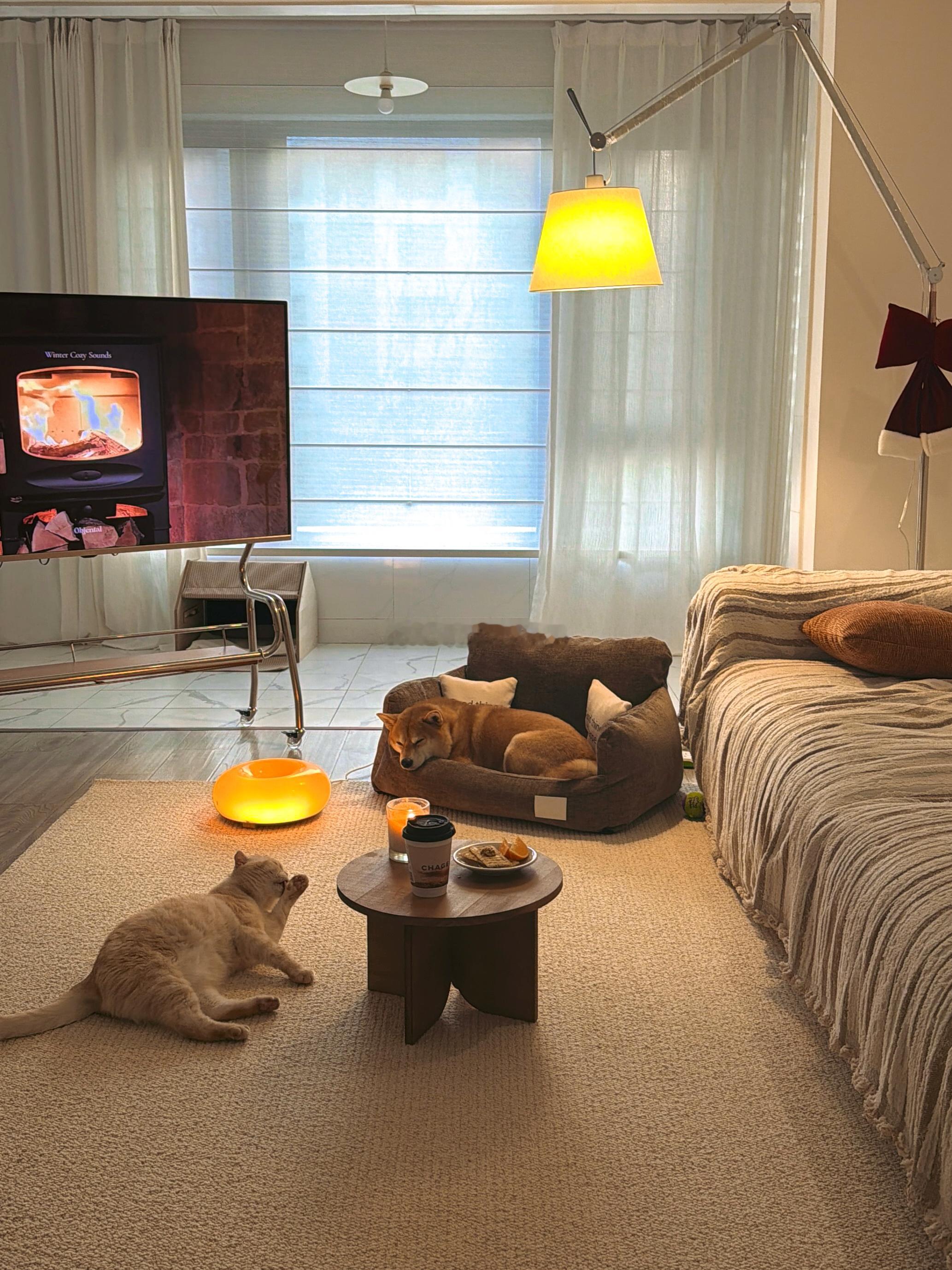 以前的冬至vs现在的冬至冬至的风有点凉，却让宅家的时光更显安逸拉上窗帘，放一首喜