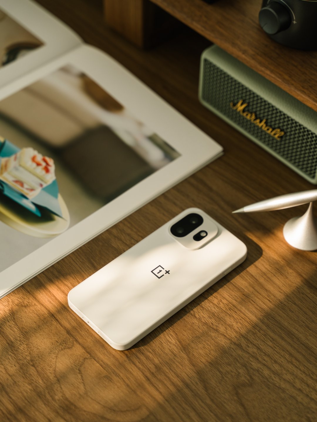 夏天来了，阳台的桌面有光了。就是，好热。让治愈白巧自己晒一下，我去吹风扇了有点东