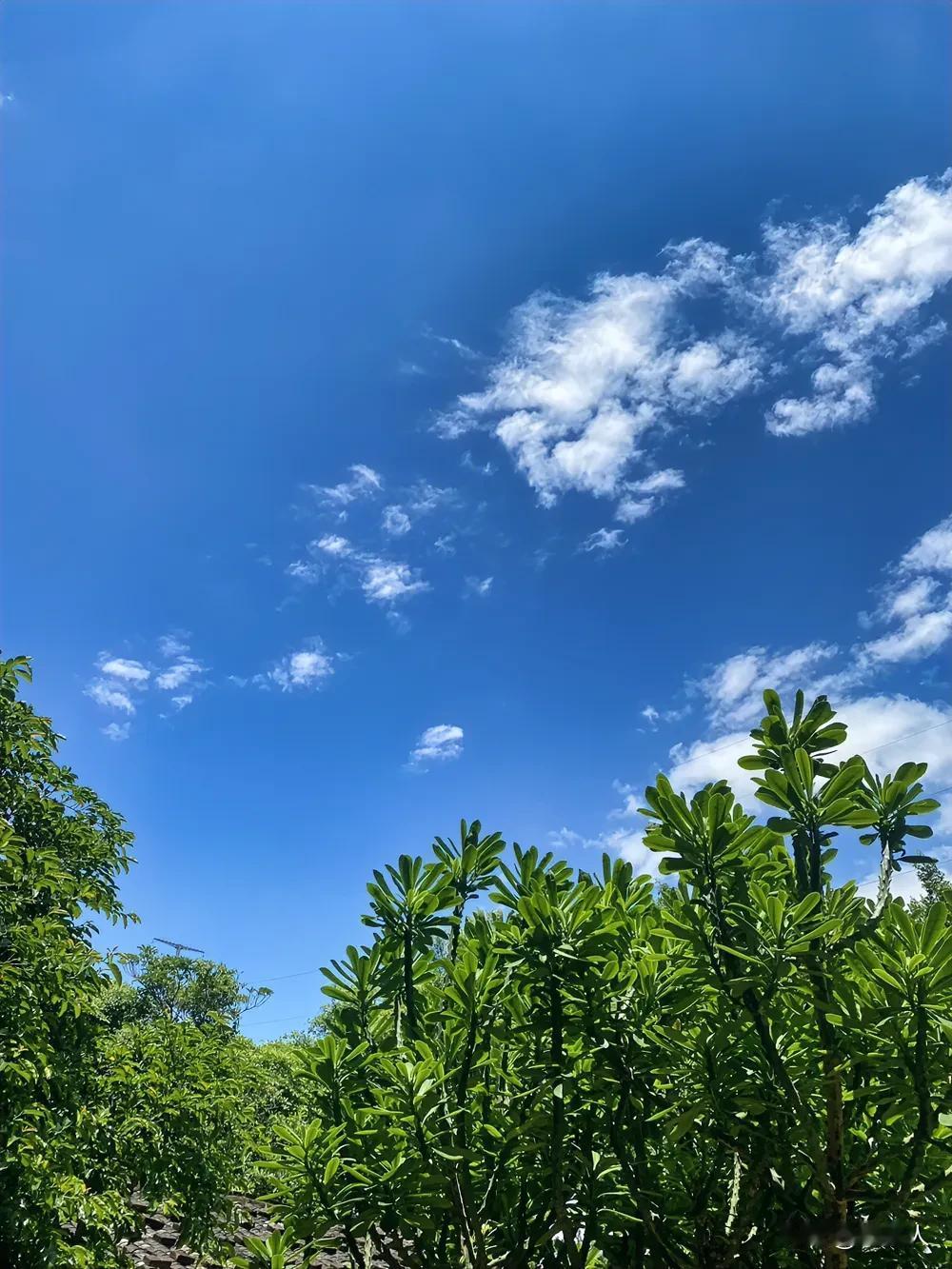 #夏日随手拍#今天天气不错