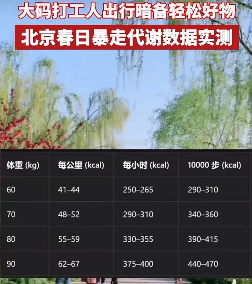 北京春日暴走代谢数据实测解锁春日高效养生方式！北京全城暴走代谢实测来袭，适度步行