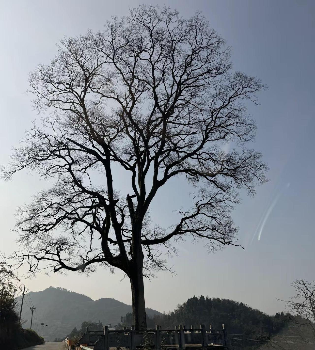 圈小，事少，人静，物简，心安，自由，清醒。慢下来看世界