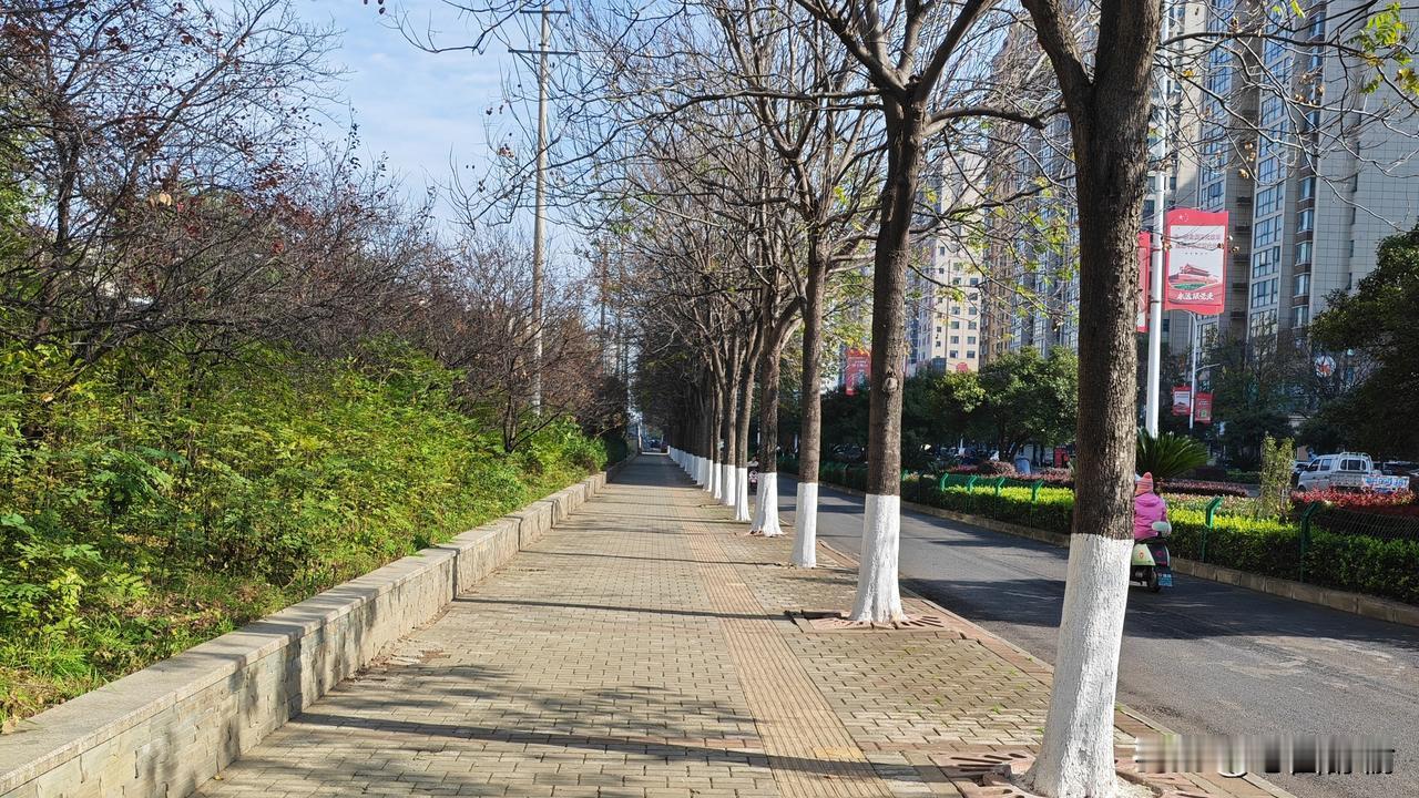 分享你相册里最美的天空天空的美照 秋天随手拍天空 相册里最美天空 天空上的美景 