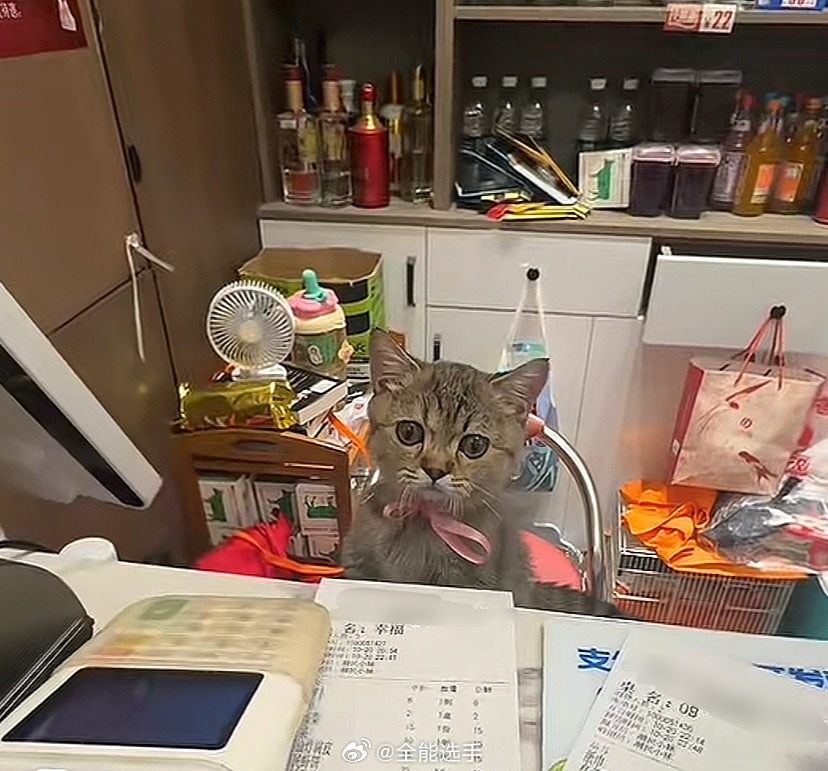 这个收银员工作态度很认真[doge] ​​​