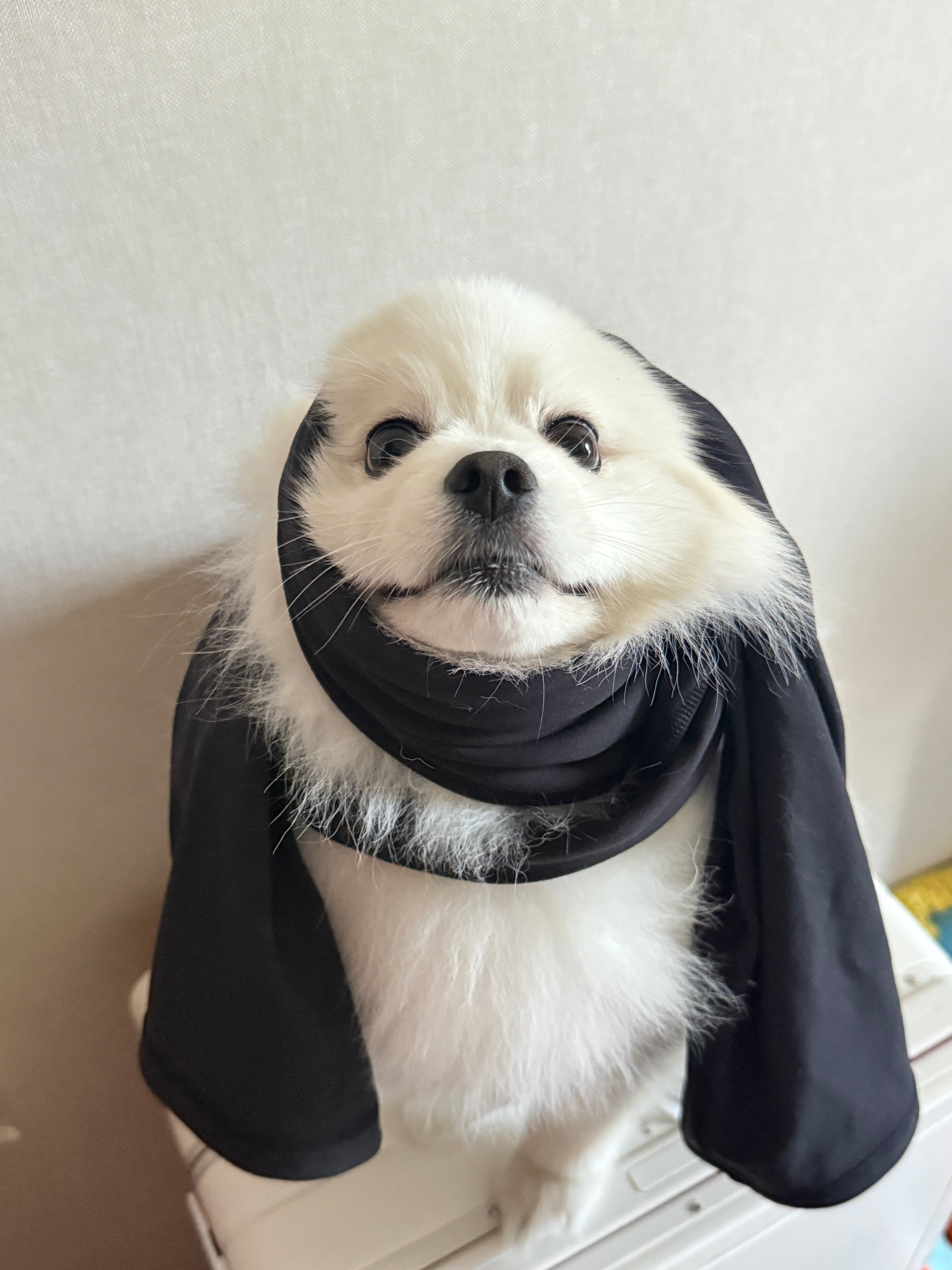 gogogo修勾天天跟我过得什么日子日日早起 ​​​