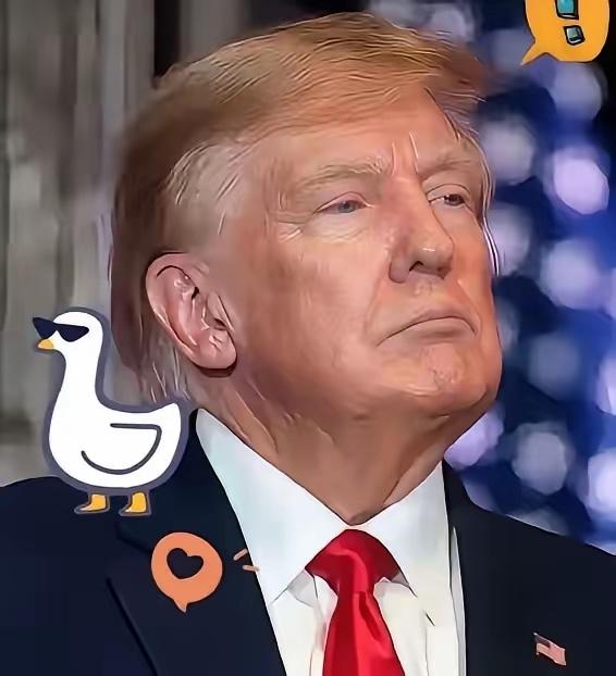 今天开始重拳反击

决不再惯着他们了

12月26日咱们正式官宣，针对美国一而再