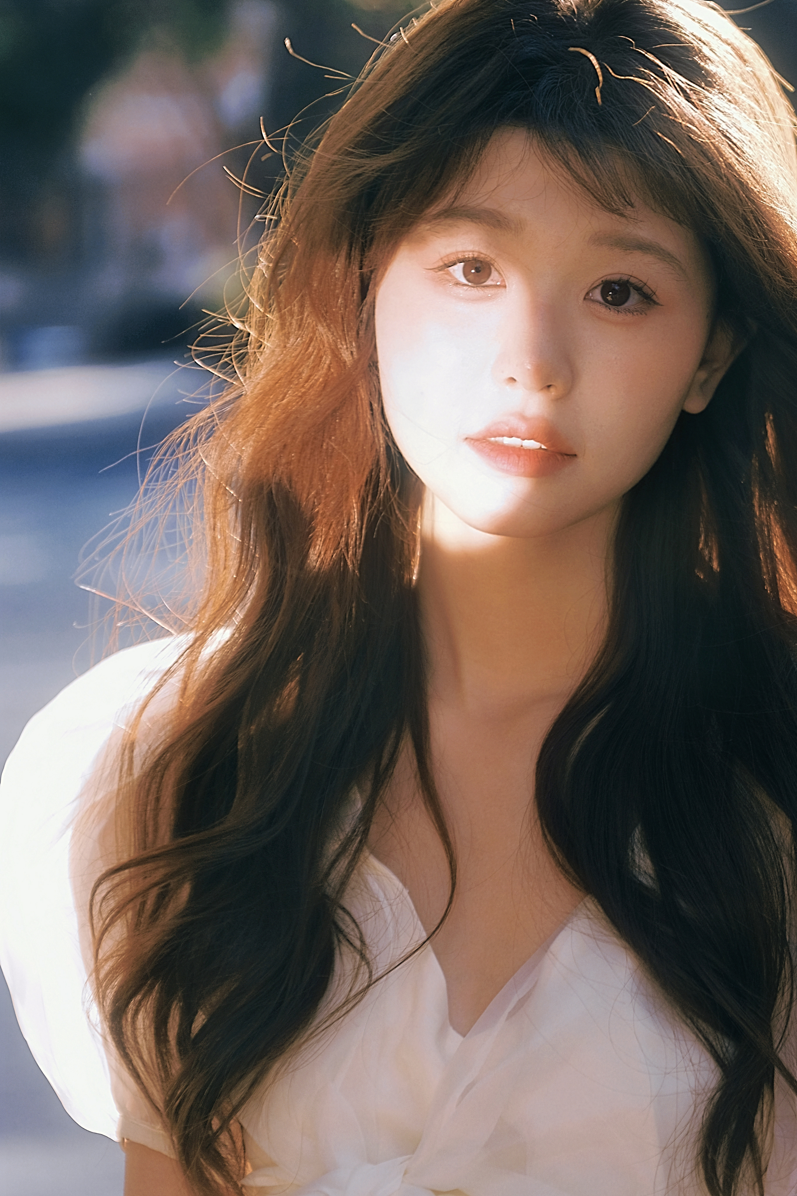 夕阳下的光 ​​​