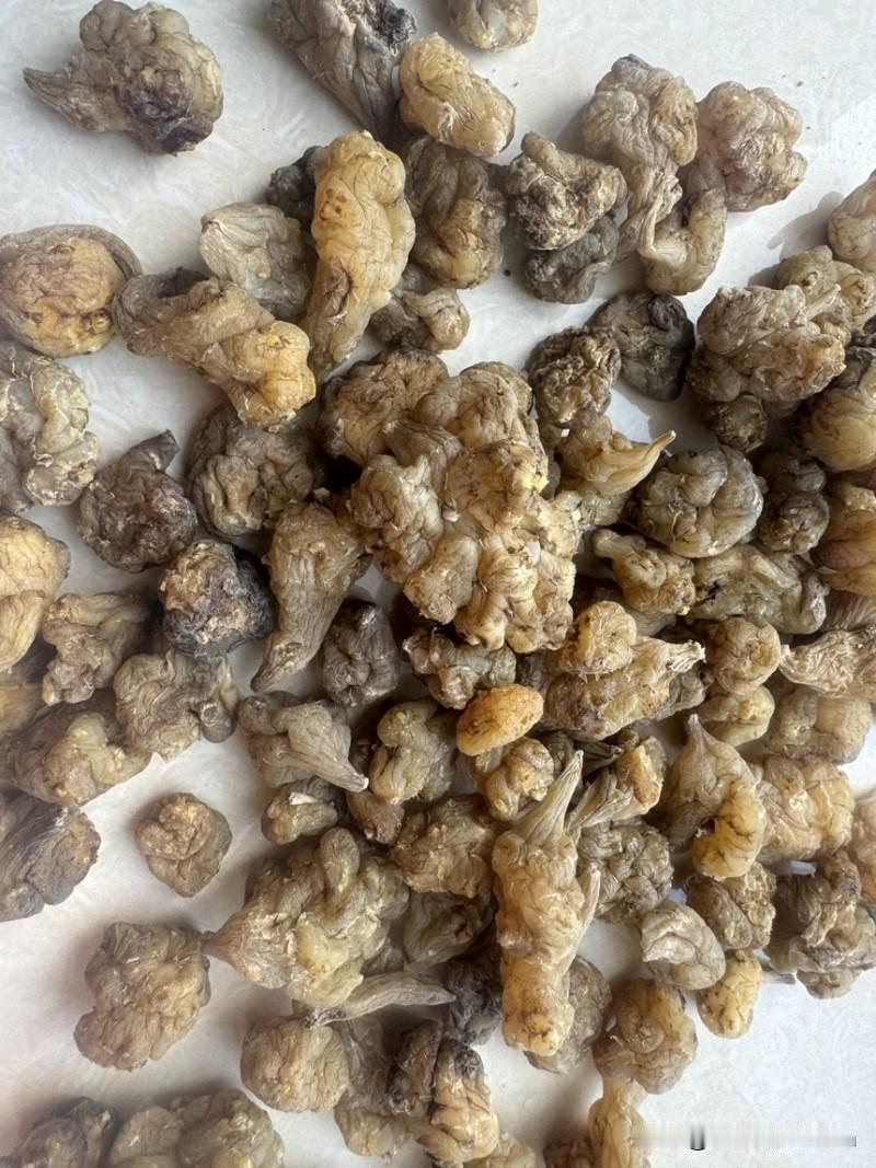 洋姜能降低血糖,治疗糖尿病吗?
我在花盆里种了很多“鬼子姜”也叫“洋姜”！

原