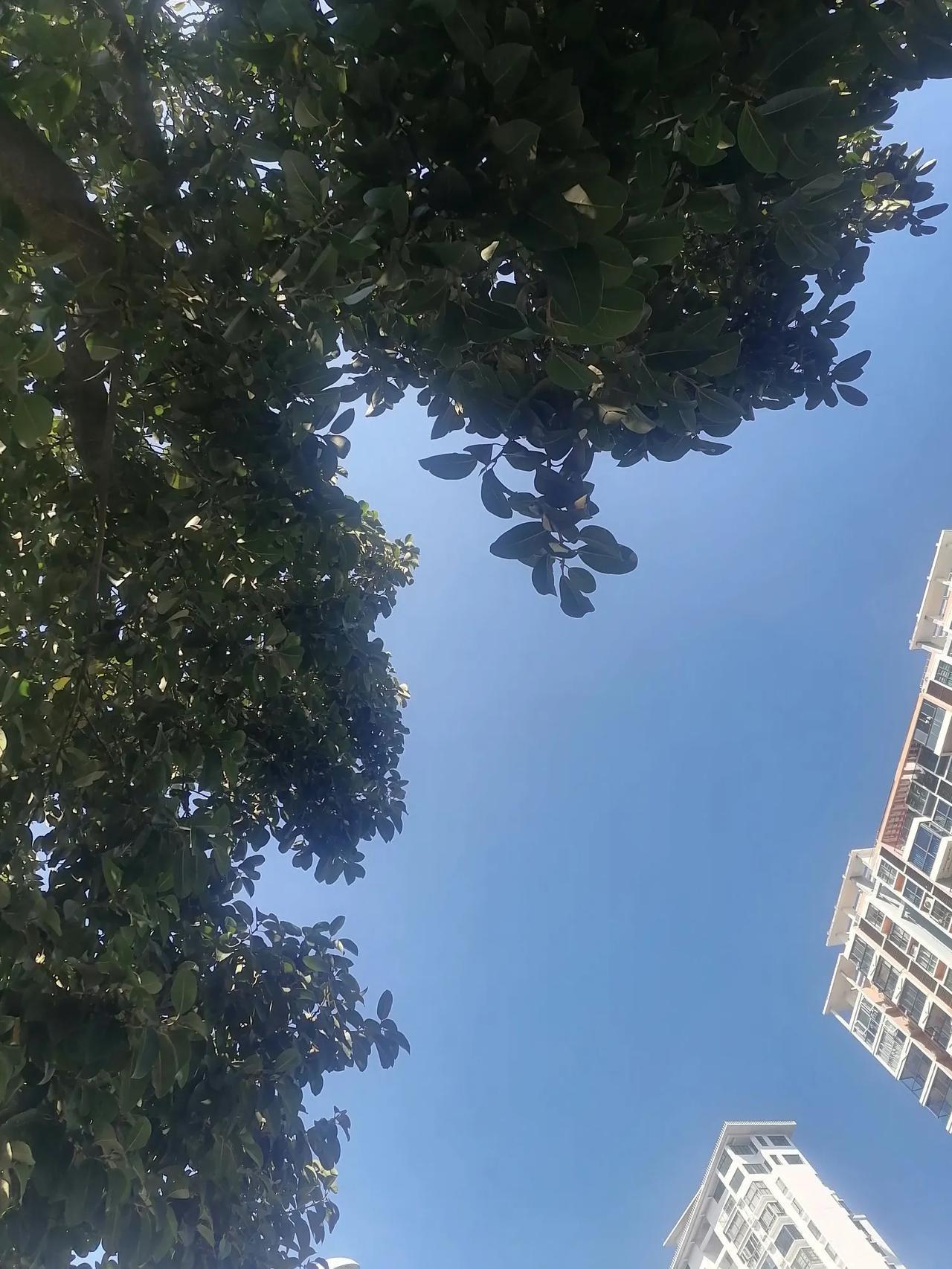 好好自修，修自己