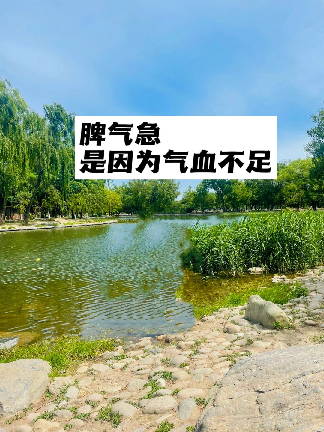 脾气急，是因为气血不足.