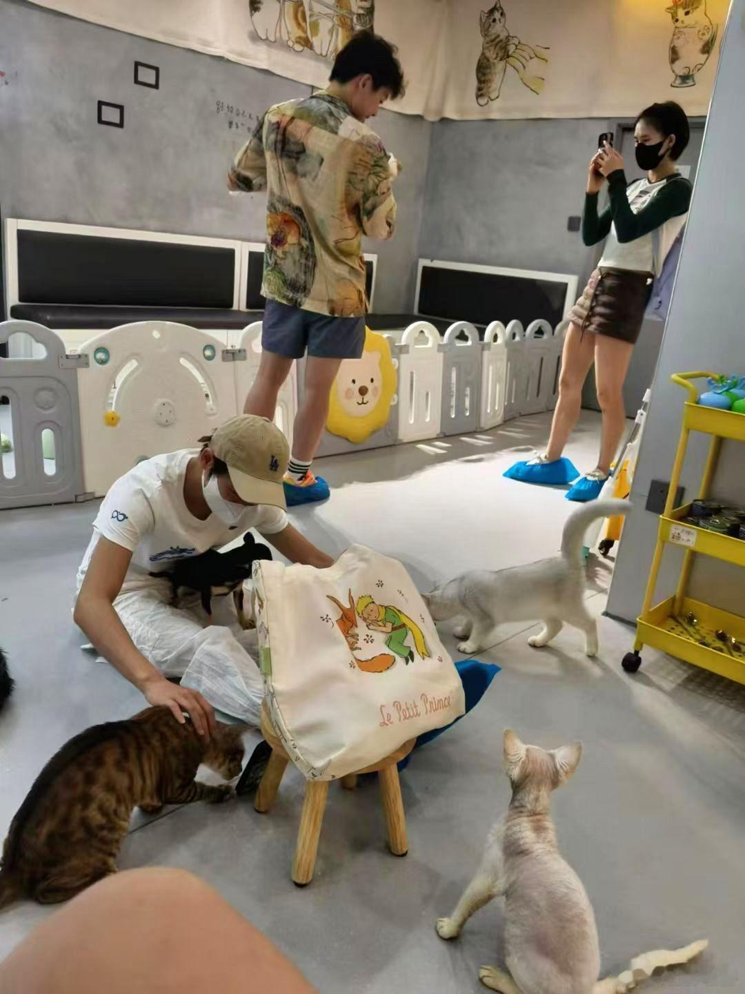 #全红婵陈芋汐陈艺文去撸猫啦# 全红婵 陈芋汐 陈艺文 到店了 不打扰 难得的轻