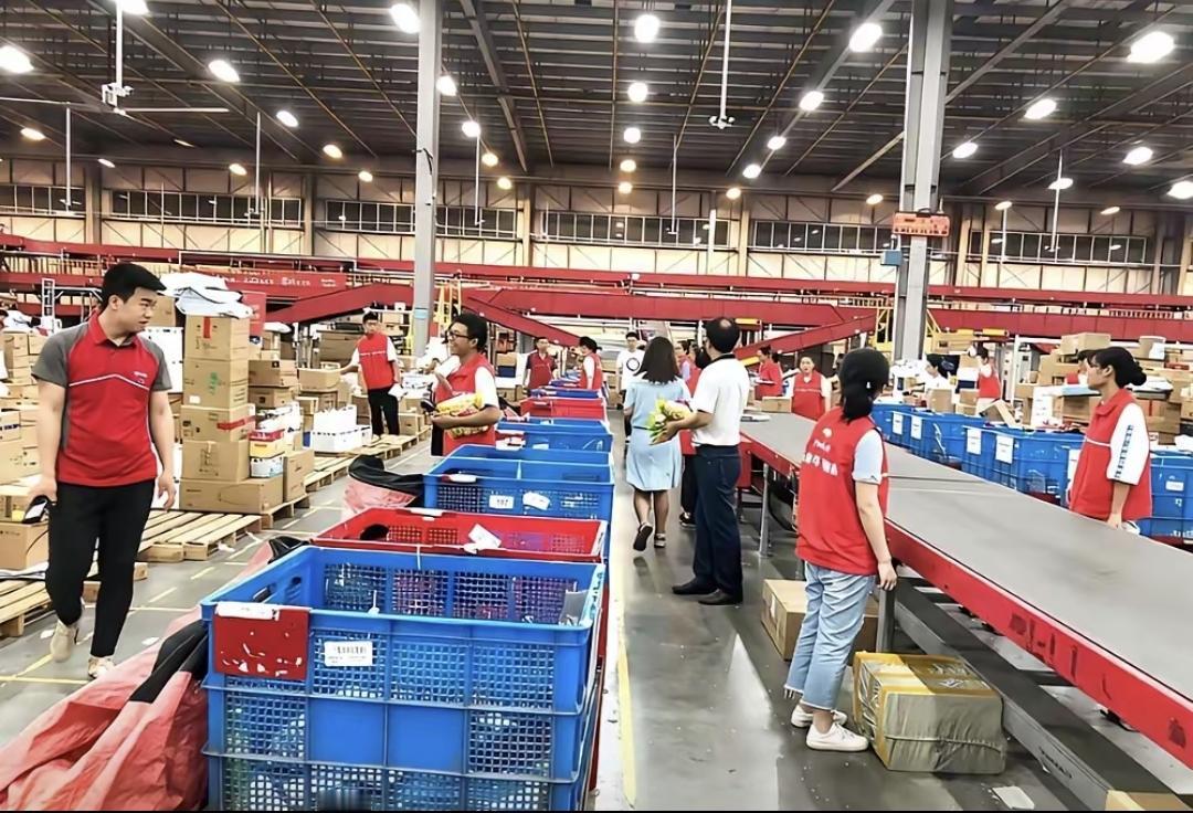 那天下着小雨，我穿着洗得发白的夹克走进仓库，冷光灯照得人睁不开眼。扫码枪响一声，