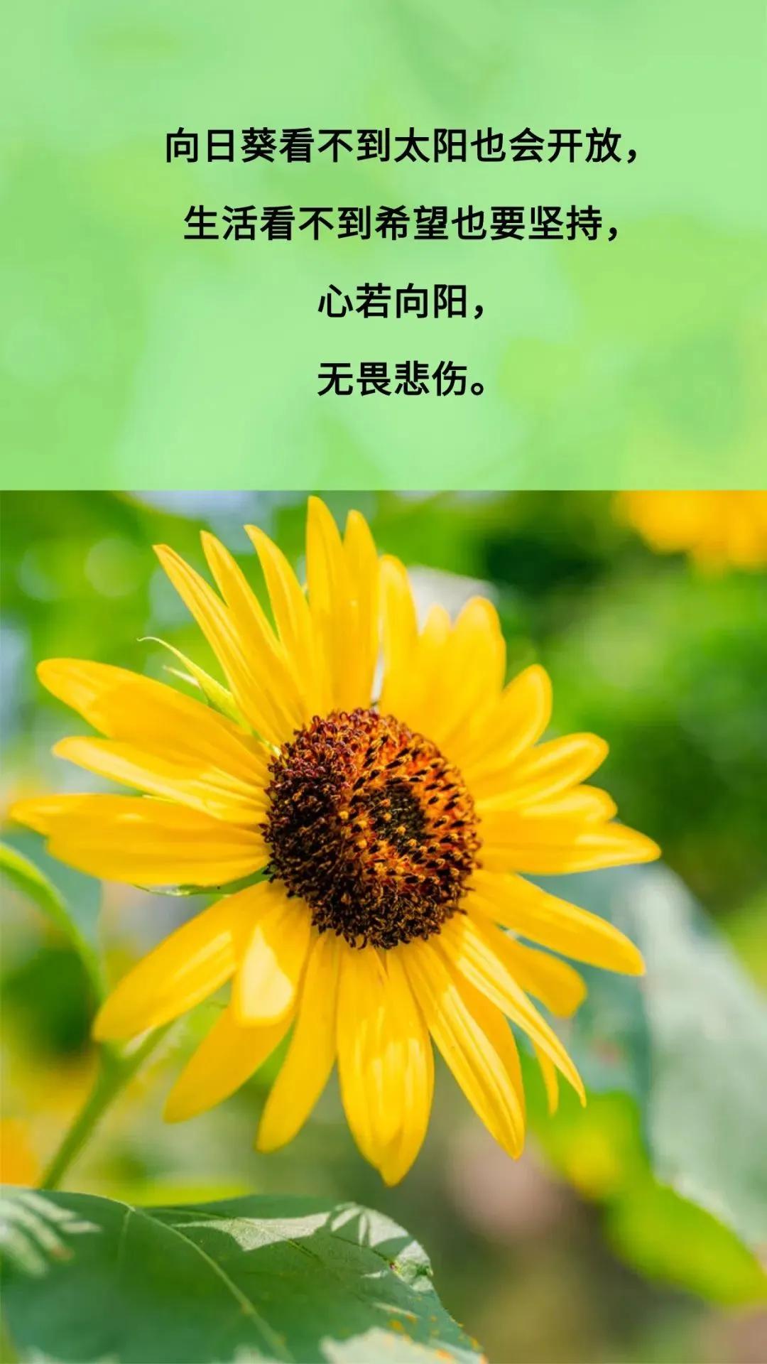 女人到了中年
一定要明白
有些事情
自己尽最大的努力去做
至于结果
不重要
自己