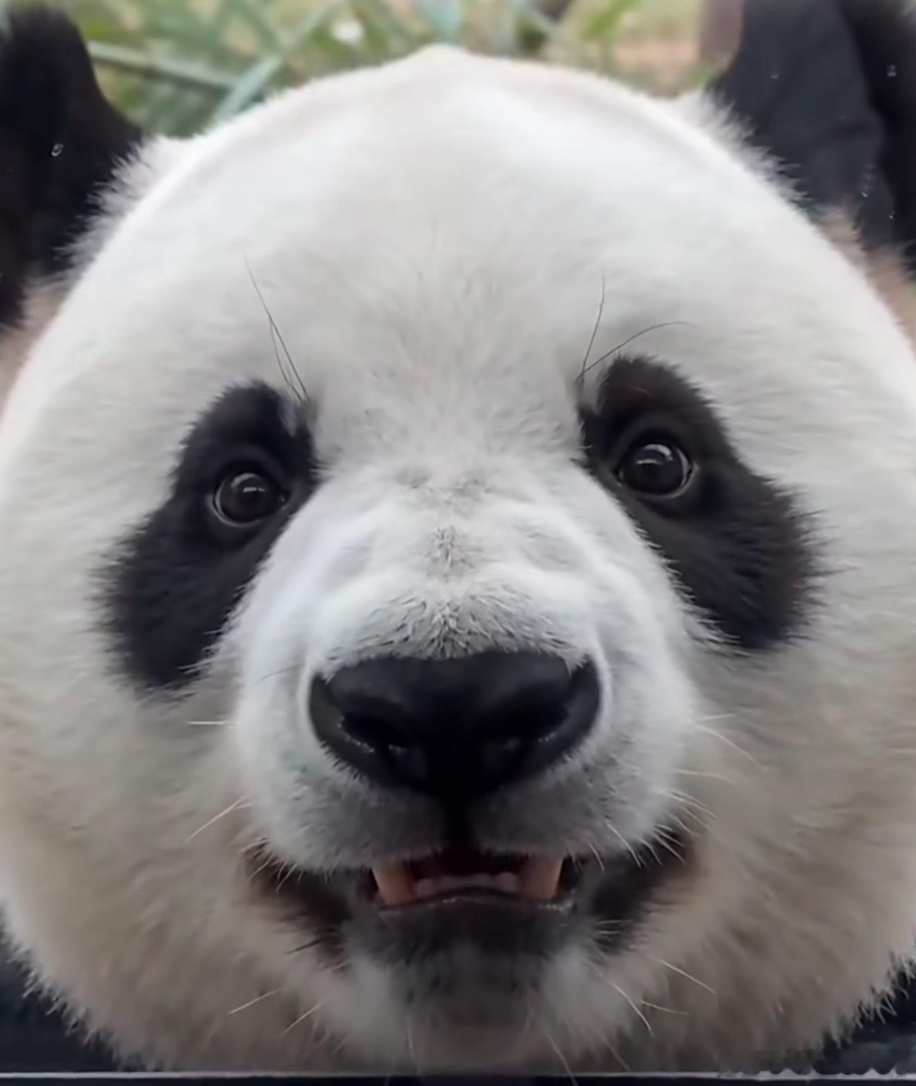 我突然悟了！“高端的猎手，往往以猎物的姿态出现”我认真琢磨了一下这次的主要出场人