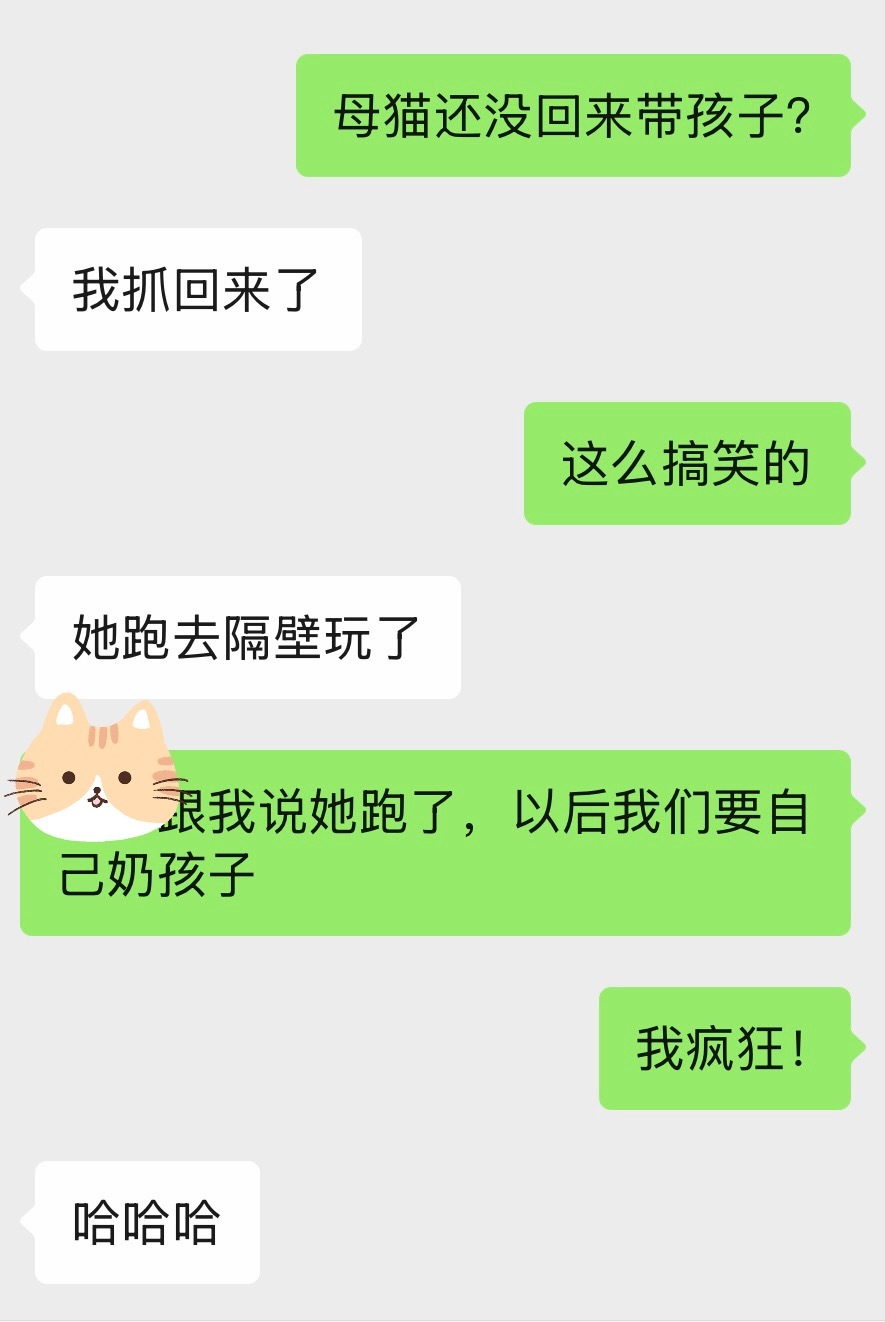 无语了，那只猫妈妈趁大家大扫除的时候溜出店门，喊不回来，原来是不想带孩子了去找隔