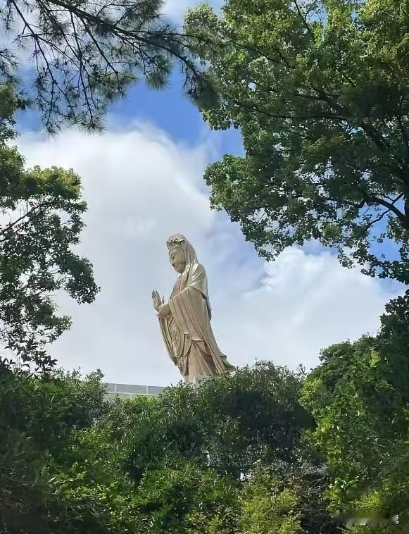 通知一下，
大家好有个心理准备。
今天8月23号，终于要结束今年40天的超长三伏