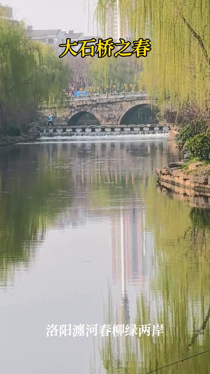 大石桥之春。
洛阳瀍河春柳绿两岸。