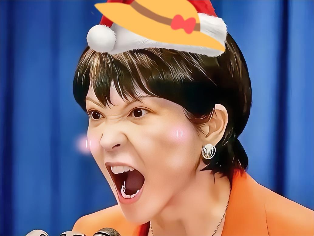 12月25日，一个本该充满节日气氛的日子，日本宫崎县的新田原基地却曝出了一条让周