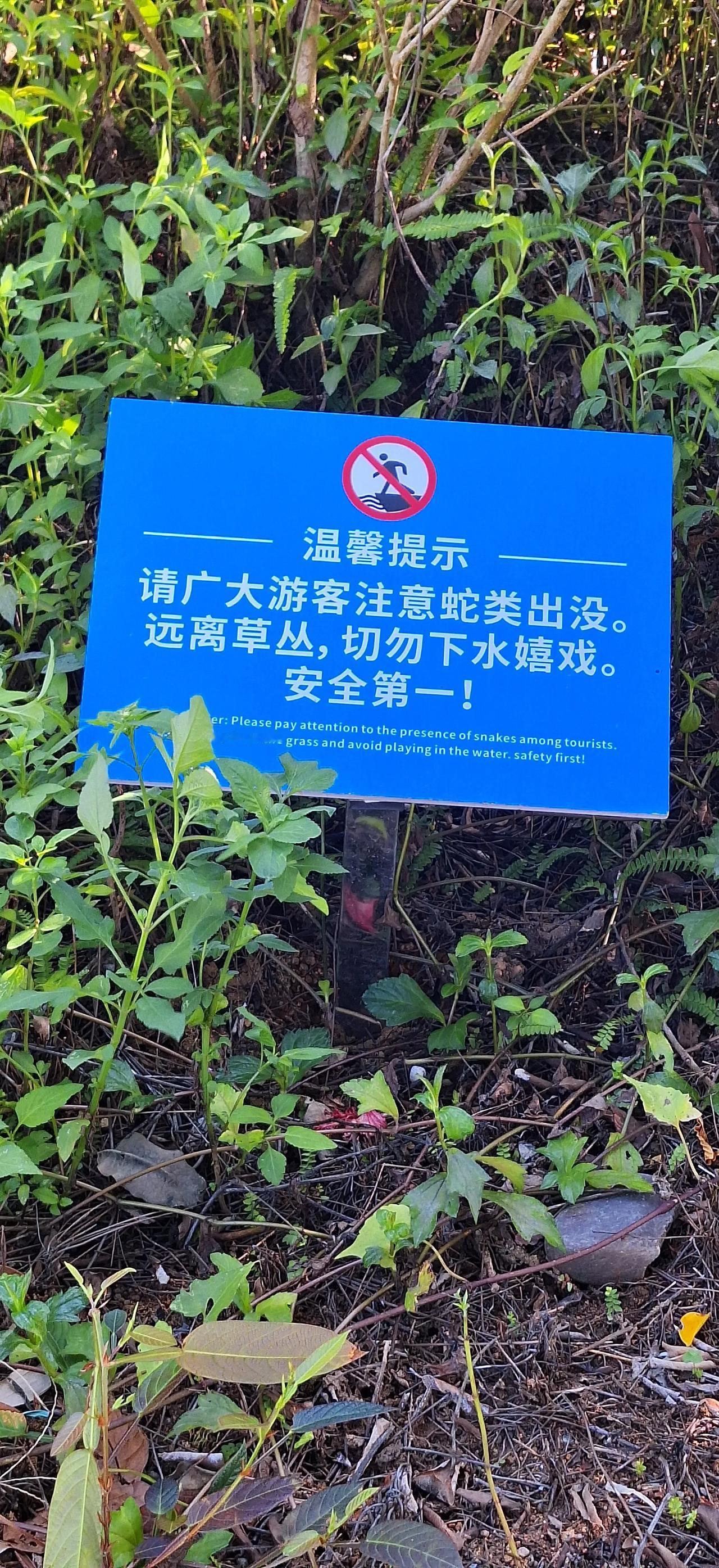 这样的提示牌非常有用，因为走了不到一百米，路上就看到图2，显然它渡劫未成，中道崩