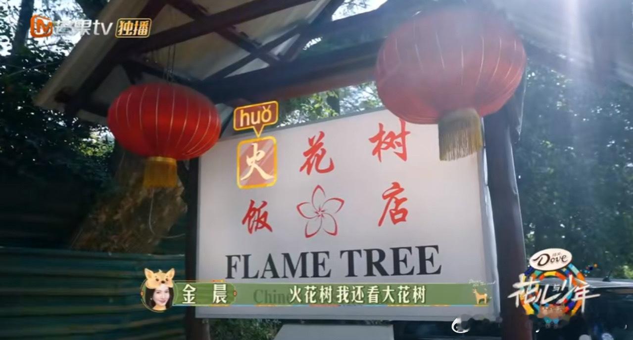 #田嘉瑞俺老猪有点饿了#田嘉瑞：“俺老猪有点饿了”，咱就是说瑞子没少看《西游记》