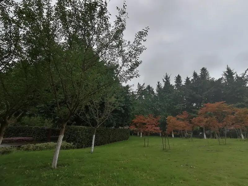月收入多少，你才觉得幸福如果有房有车，房车在当地属于中上等水平，家人都有自己的收