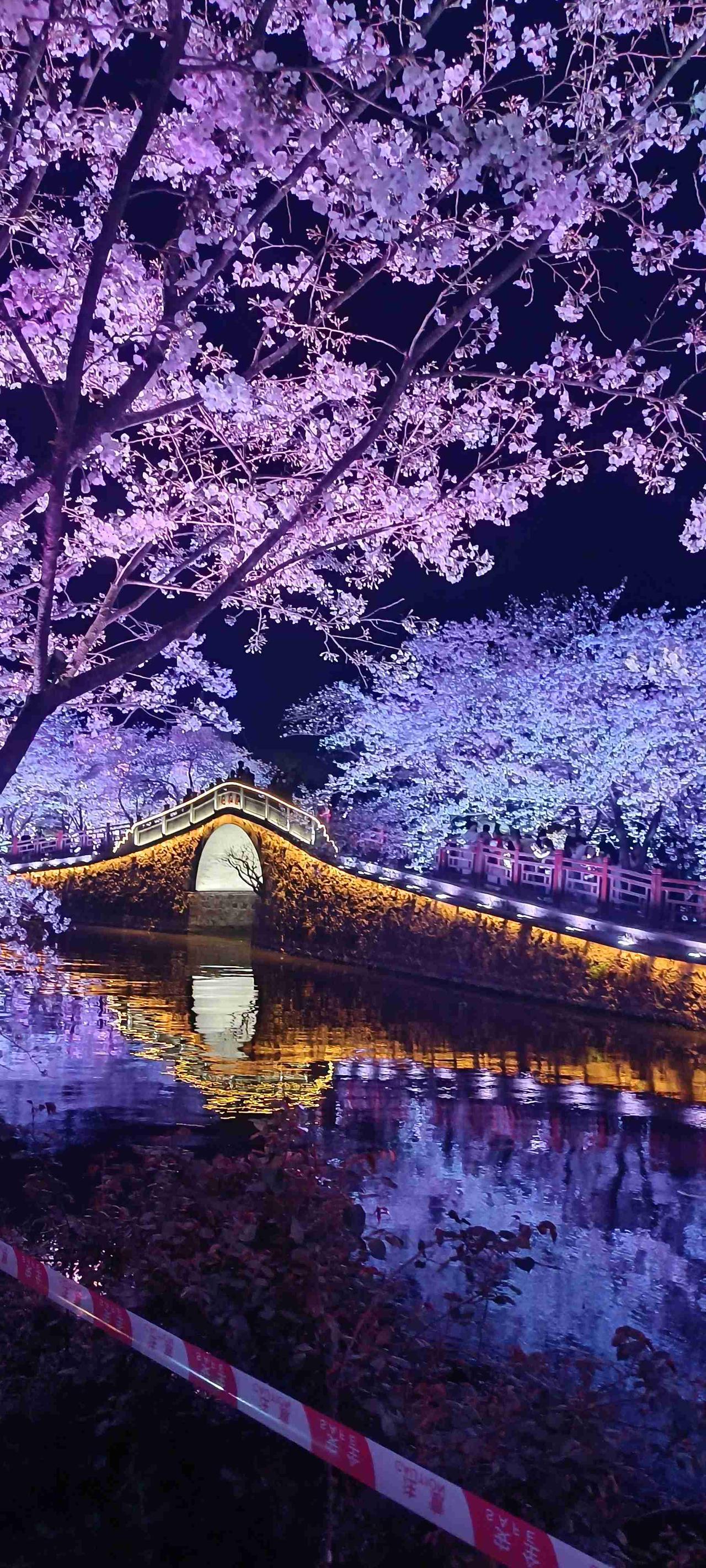 我的今日状态：😁轻松愉快
我这里的天气：☀️晴天