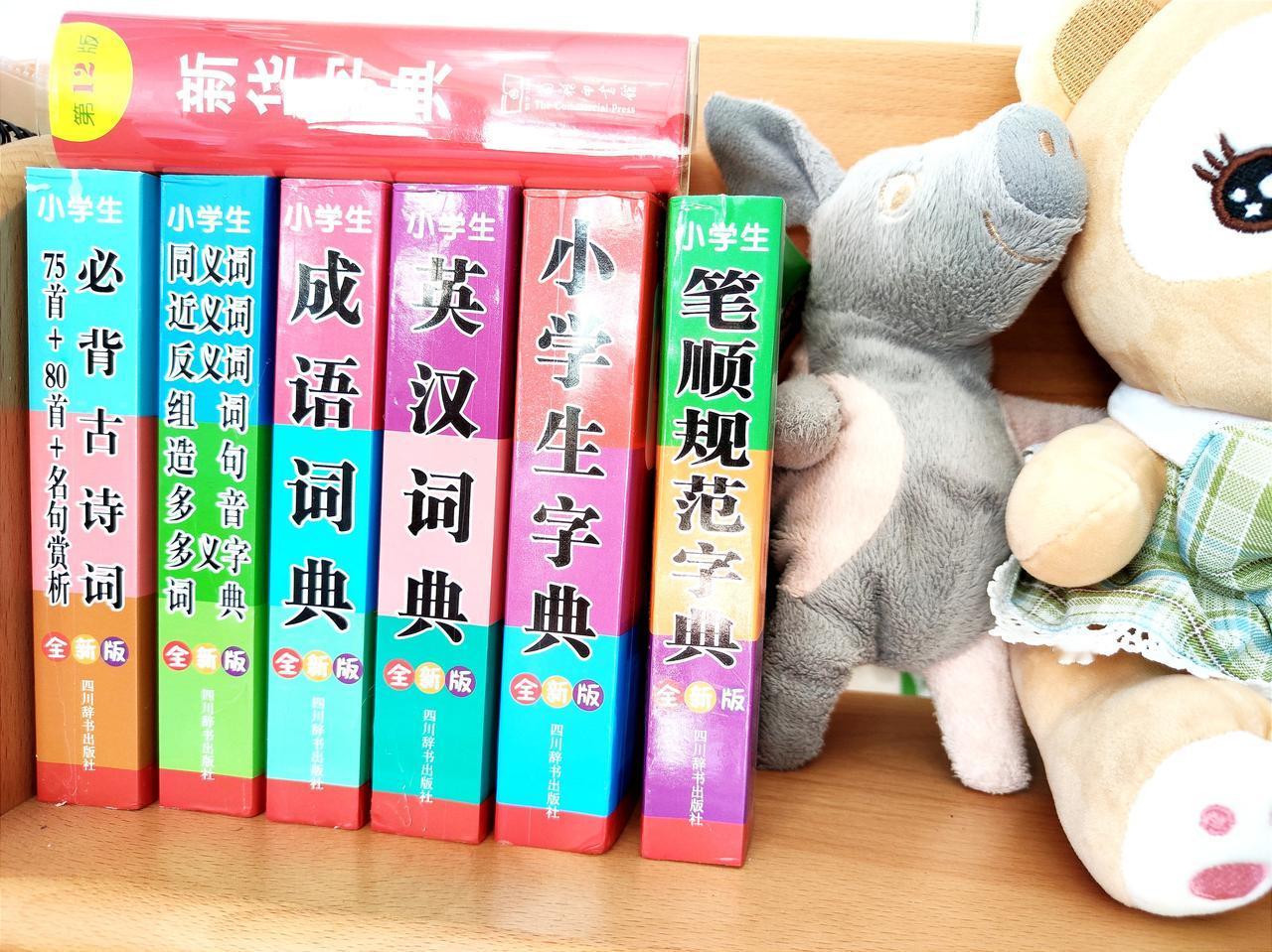 一年级只有学校发的《新华字典》，真的远远不够啊
大家好，我是家庭教育指导师果妈~