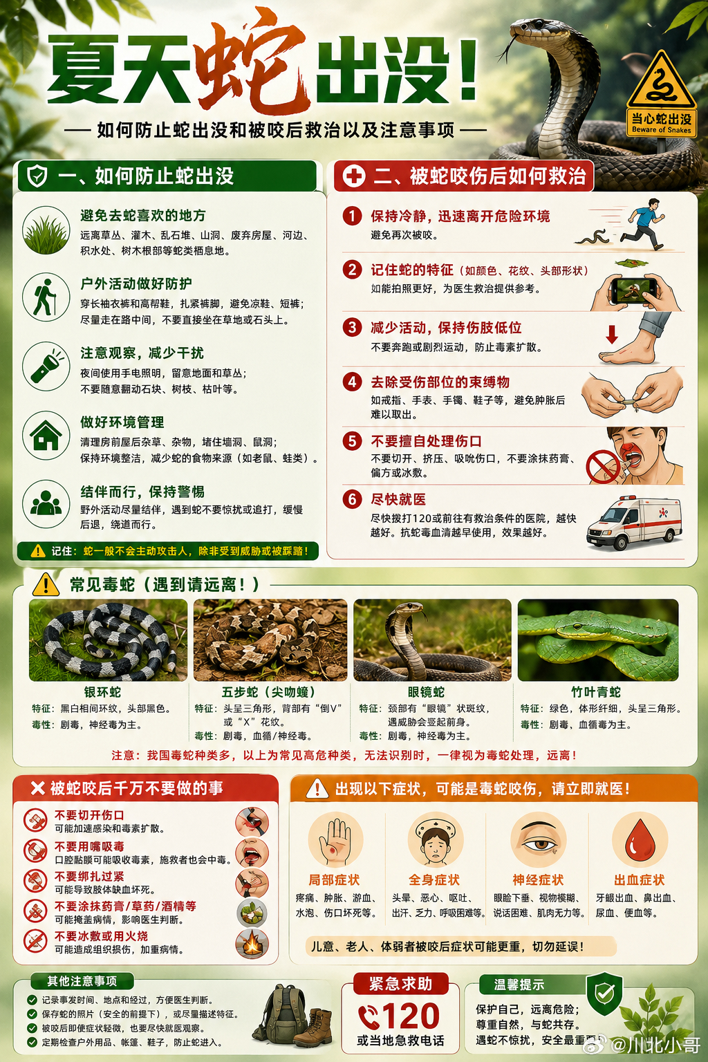 夏天防蛇虫指南，值得一看。 