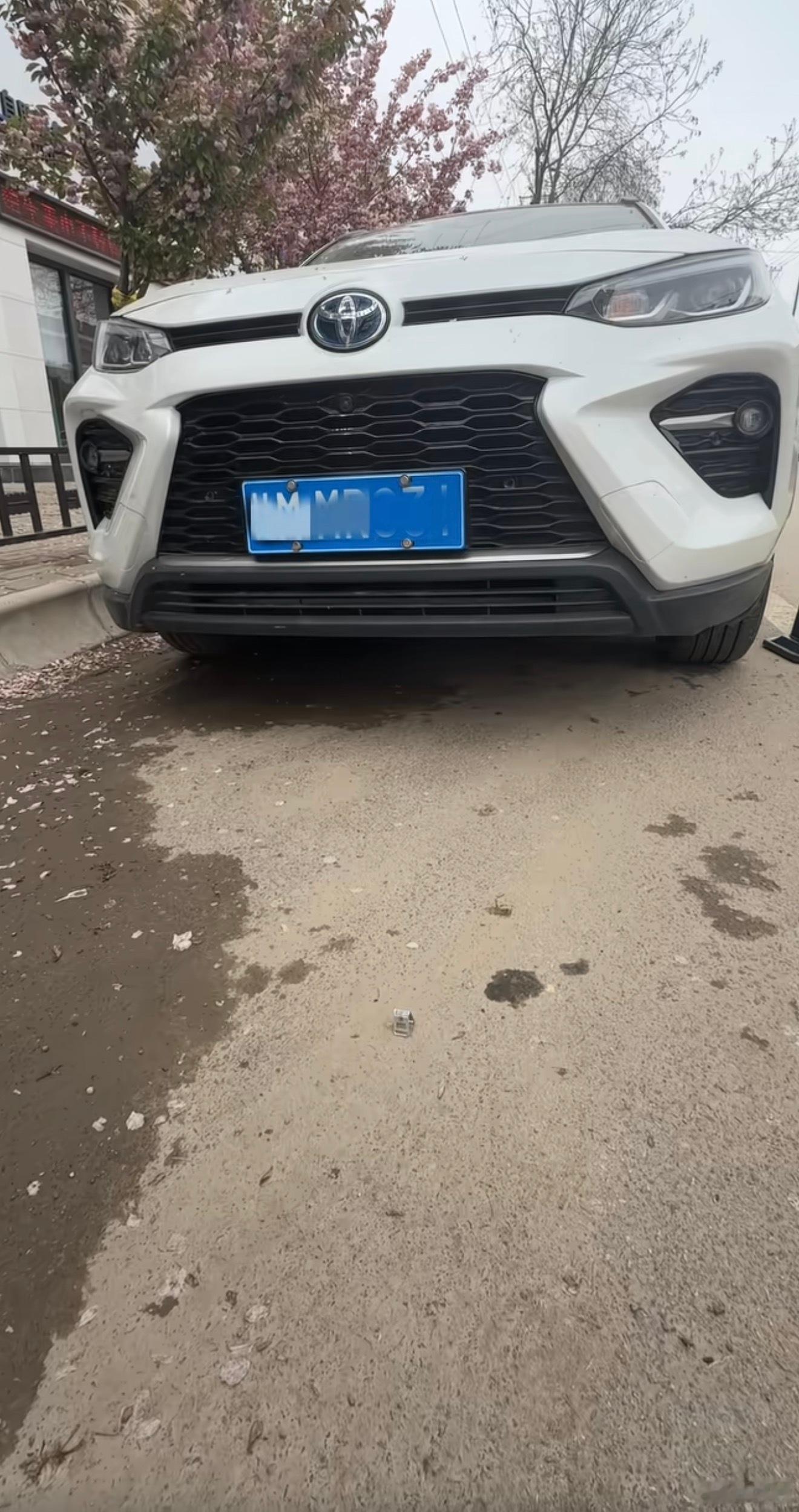 在pdd上买到的离谱的东西！ 