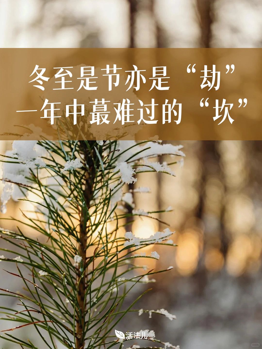 冬至养生，一年中最重要的节气如何养？
