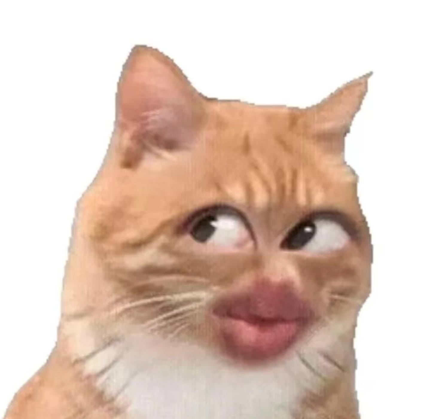 苹果你真的别太浪漫好了，圣诞节不用送礼物了~直接苹果送个放大版的表情包就行了