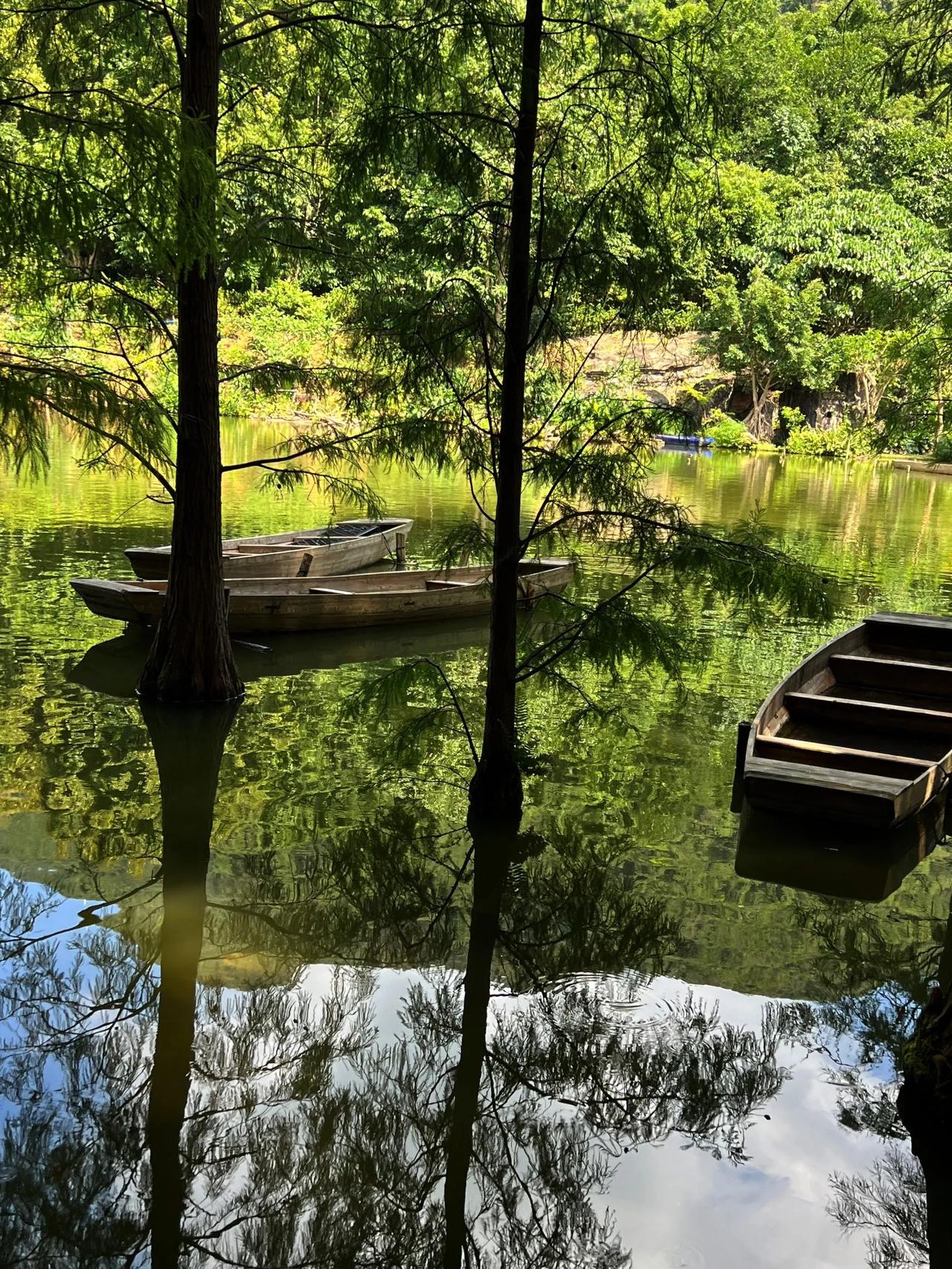养生四年｜29岁漂亮女孩的养生是免费的
比如山间的风
地上的草
湖中的水
	
一