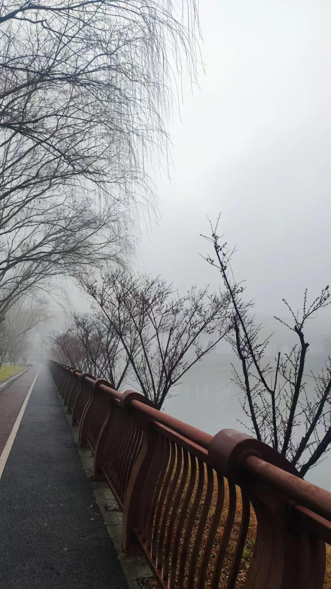 若得一日化身红尘客，最想站在江南梅雨里拆开七窍玲珑锁。指尖抚遍古巷青苔，那些被千