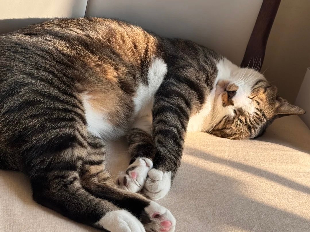 签到签到签到准备睡觉💤           