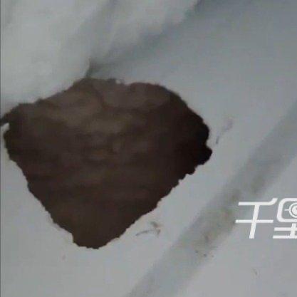 春节本是阖家团圆的好日子，可湖北随州的王女士返家后却遭遇了糟心事——冰箱底部被老