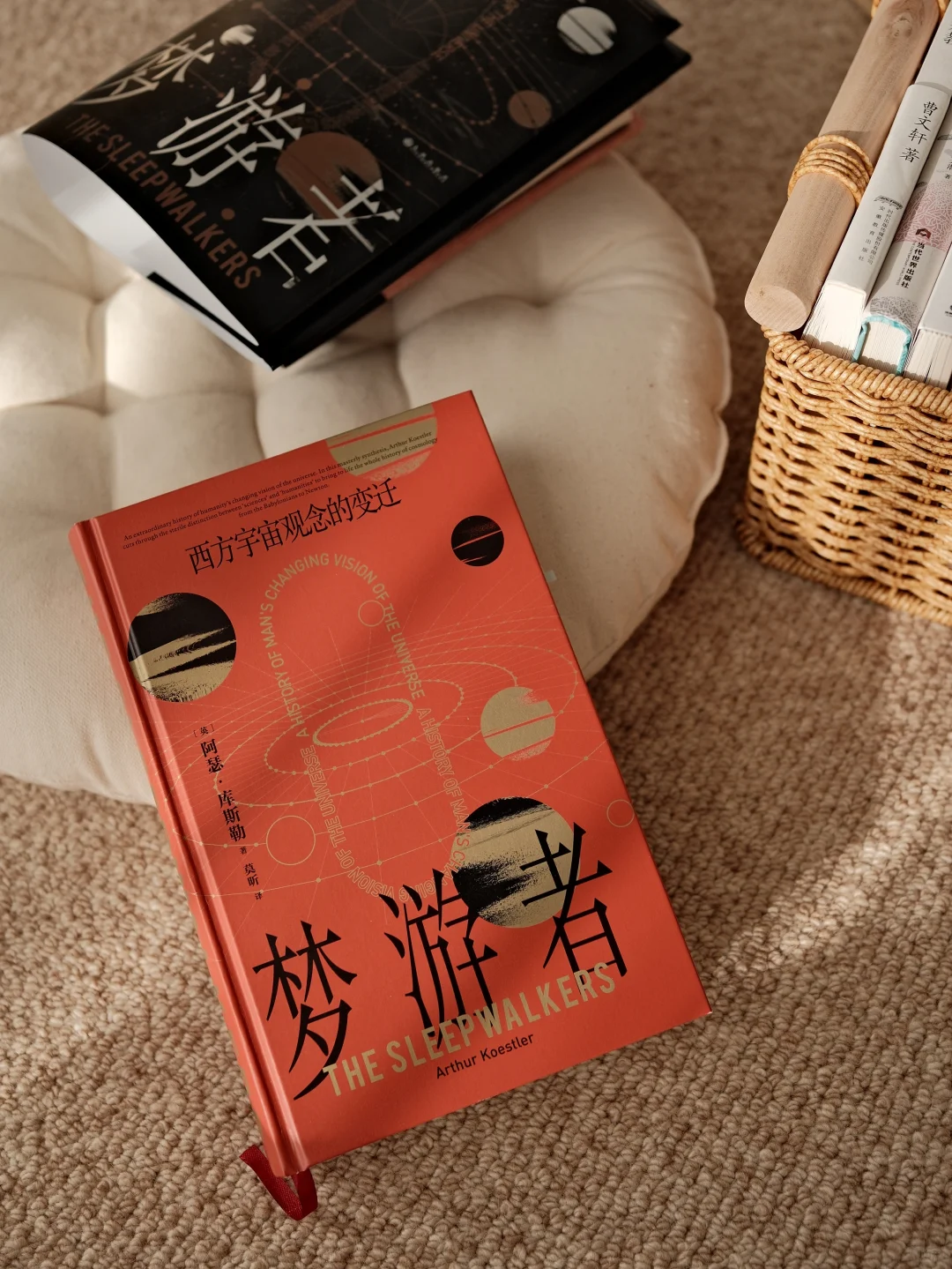 我们由星辰所筑，如今眺望群星