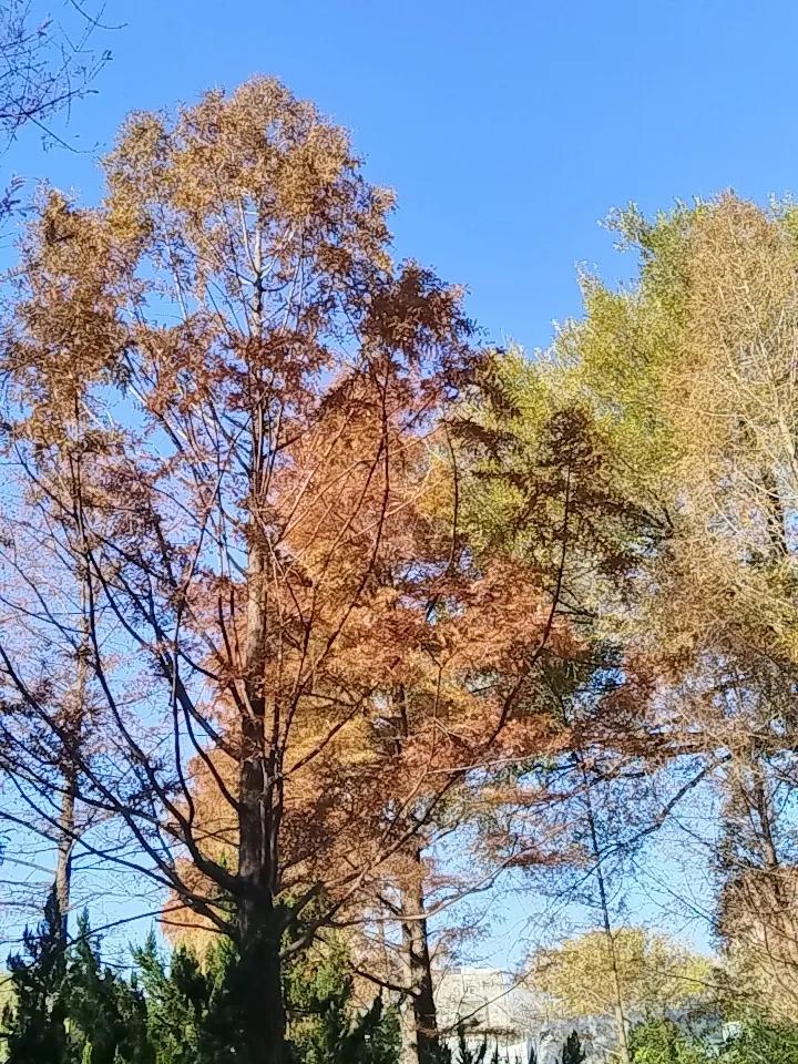 分享你手机相册里的一张天空照