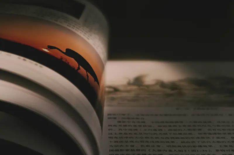 《剑桥中国史》系列
《哈佛中国史》系列
你就啃吧，一时半会啃不完
😊😊😊