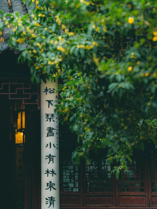 秋风起✨️去可园赴一场宋词里的桂花雨