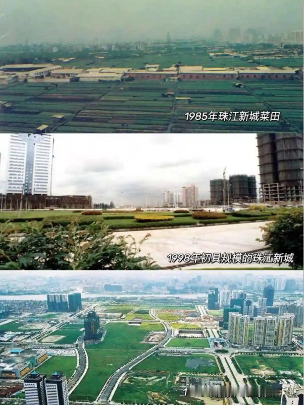 40年前珠江新城还是一片农田
图源：喜欢老广州公号
