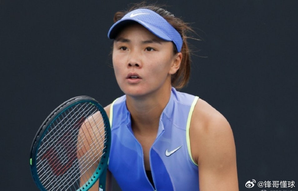 袁悦袁悦击败齐丹赛克 袁悦横扫前法网四强齐丹塞克，四位中国金花入围澳网女单正赛。
