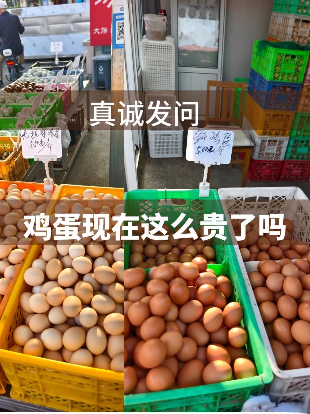 你觉得鸡蛋贵吗？

我的答案是：你手里的这颗蛋，很可能是人类千年史上最便宜的一颗