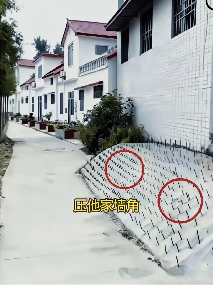 这家人的操作绝对是一家狠人，墙根下面已经整成了坡度，还不满意，又插了这么些钢筋棍