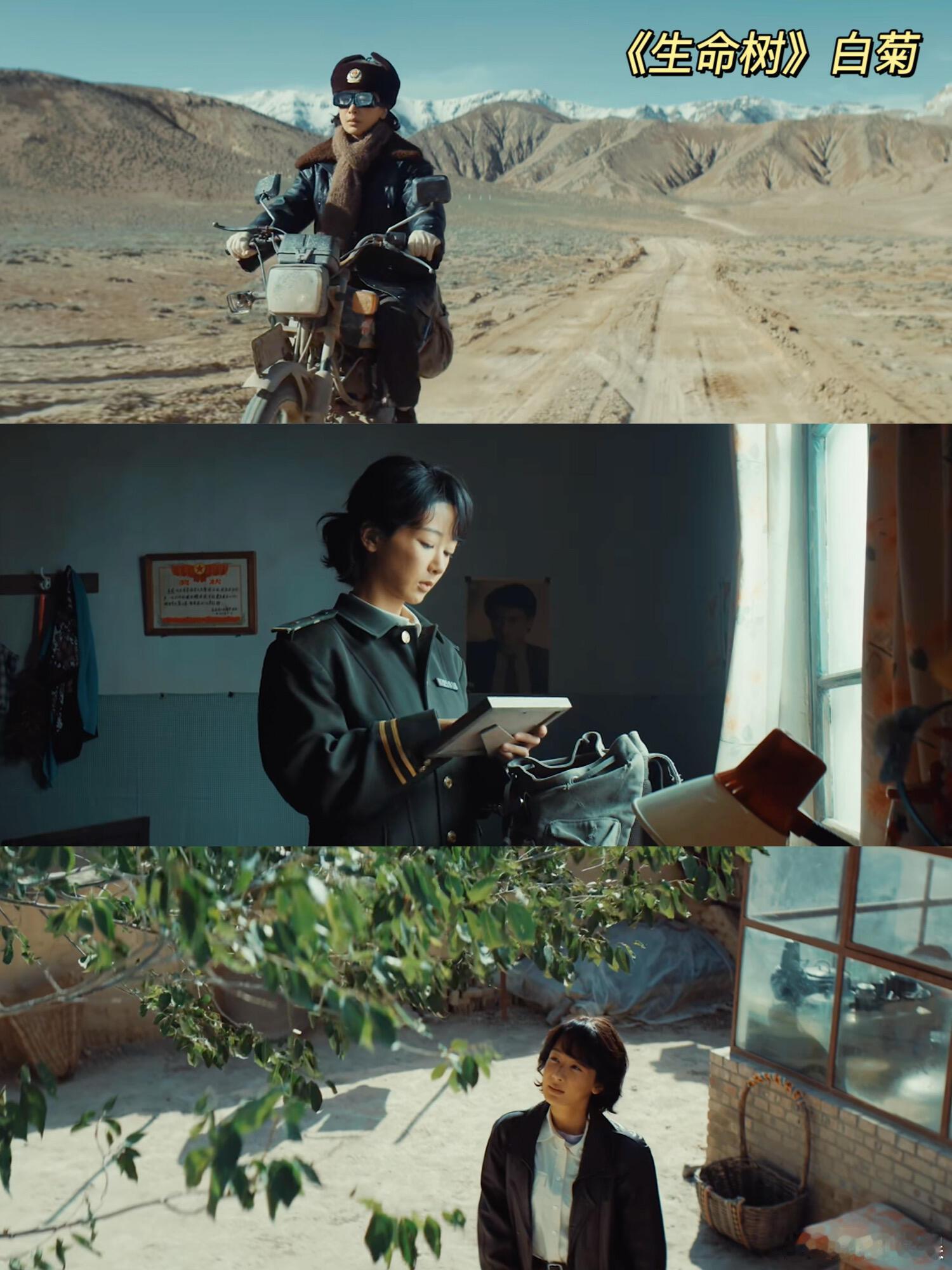 杨紫生命树口碑剧 杨紫为塑造《生命树》白菊奔赴高原实景拍摄，直面高原缺氧不适全程