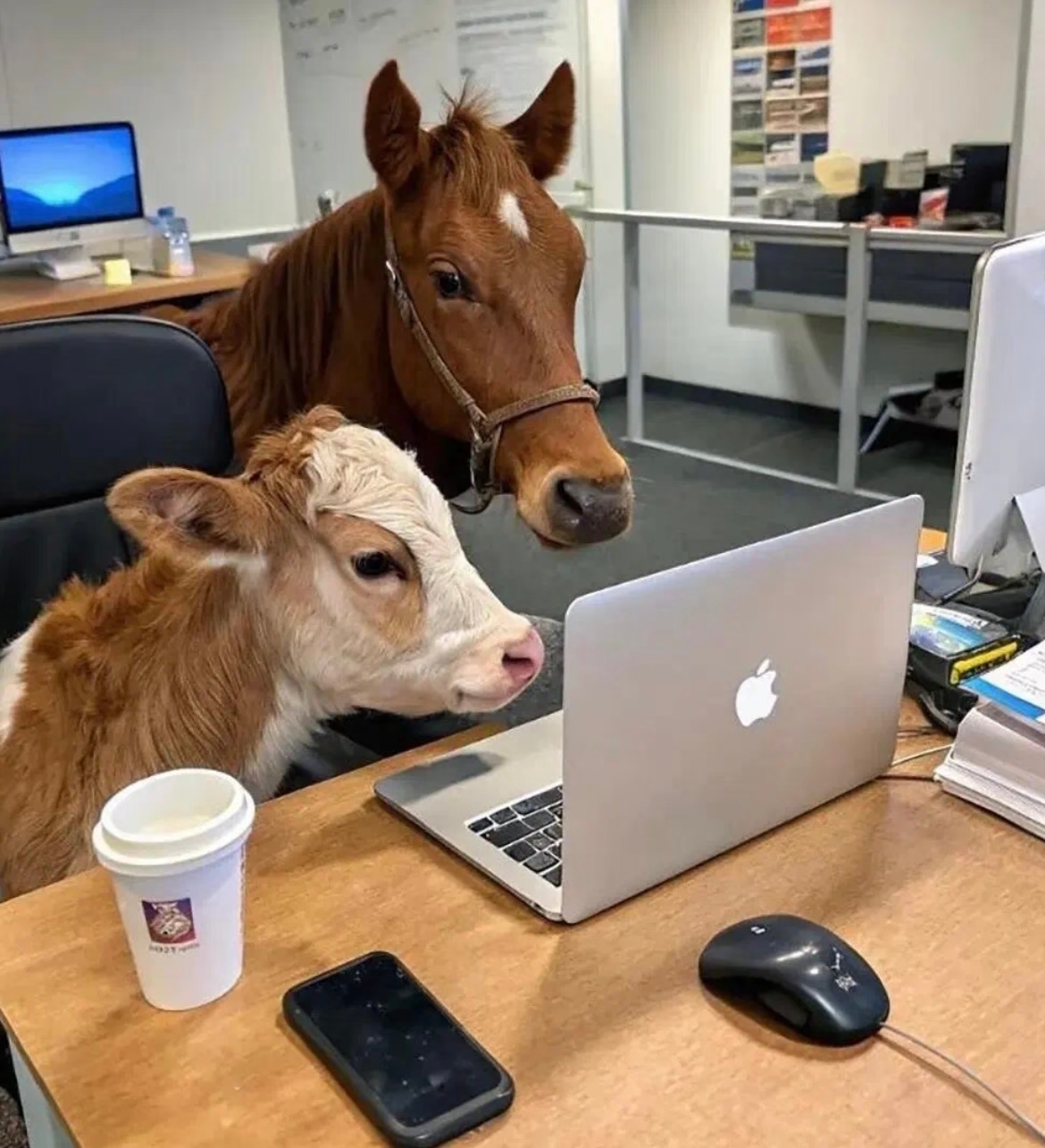 龚俊领导说话我左耳进右耳出看了两集感觉节奏很拖沓啊剧情也很浮夸现实中哪有这么胡闹