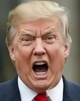 跟美国没有任何谈判的可能，比伊朗还要硬气的国家出现了，这个国家还是欧洲的。
 