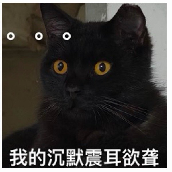 贾乃亮小腹纹身