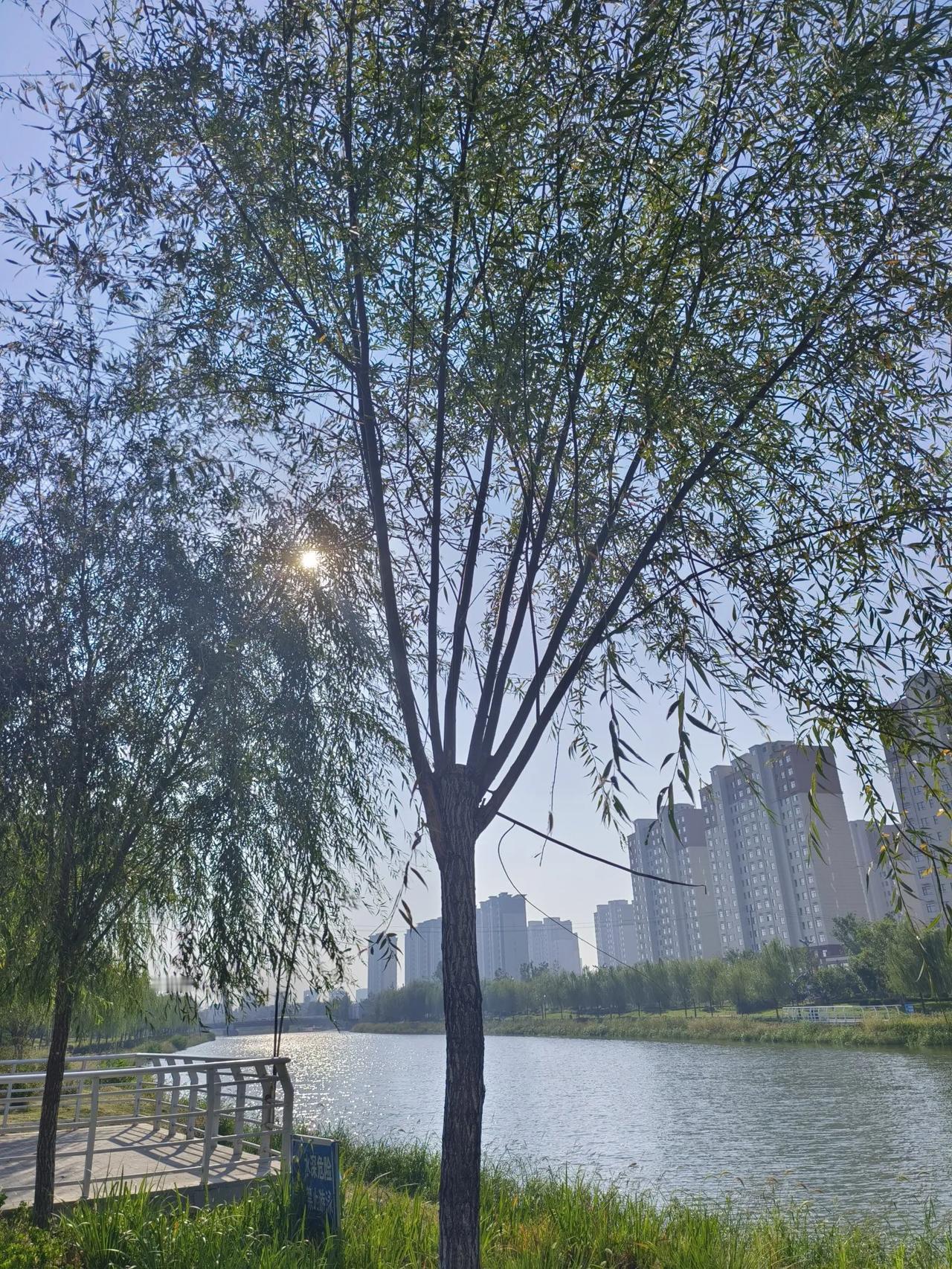 #上联：油盐酱醋伴日月，

求下联#风霜雨雪傍四季
油盐酱醋伴日月那是生活，我对